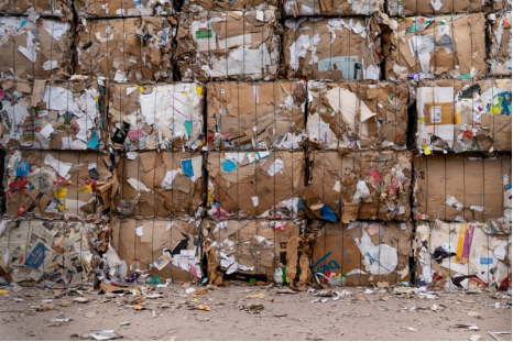 貓先生互聯網廢品回收加盟，智能收廢品，回收加盟廠家